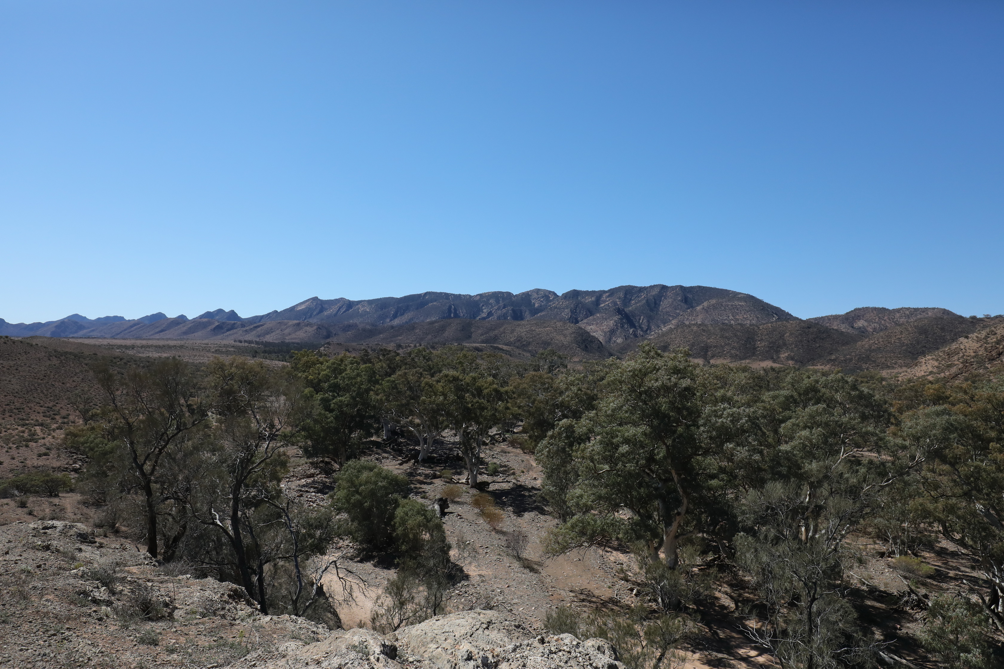 2019 09 01 12 59 49 Canon EOS 5D Mark IV 0020